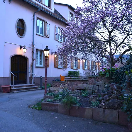 Logis Du Centre - Halte Ideale En Cyclotourisme Avec Garage A Velos Clos 3* Molsheim