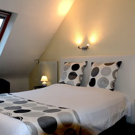 Logis Du Centre - Halte Ideale En Cyclotourisme Avec Garage A Velos Clos モルスハイム