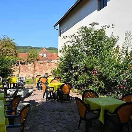 Hotell Logis Du Centre - Halte Ideale En Cyclotourisme Avec Garage A Velos Clos Molsheim