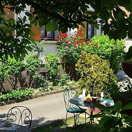Hotell Logis Du Centre - Halte Ideale En Cyclotourisme Avec Garage A Velos Clos Molsheim