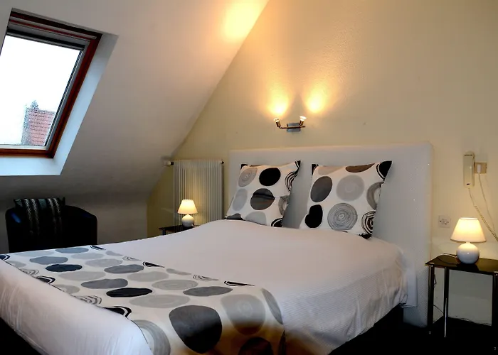 Logis Du Centre - Halte Ideale En Cyclotourisme Avec Garage A Velos Clos Molsheim