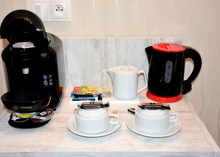 Hotel Logis Du Centre - Halte Ideale En Cyclotourisme Avec Garage A Velos Clos Molsheim