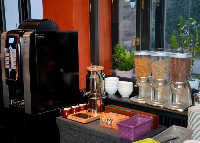 Logis Du Centre - Halte Ideale En Cyclotourisme Avec Garage A Velos Clos 3* Molsheim