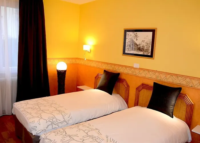 Logis Du Centre - Halte Ideale En Cyclotourisme Avec Garage A Velos Clos Molsheim